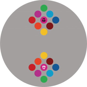 Lustro2